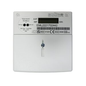 Grant Wall mounted electricity meter